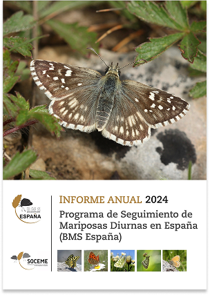 Informe Anual 2024 SOCEME